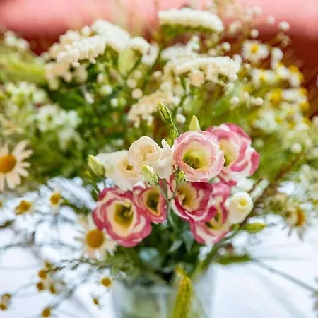 Panoramic View Comfortable