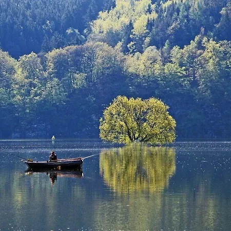 Panoramic View Comfortable