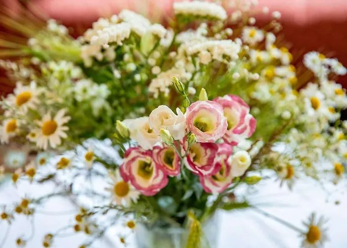 Panoramic View Comfortable